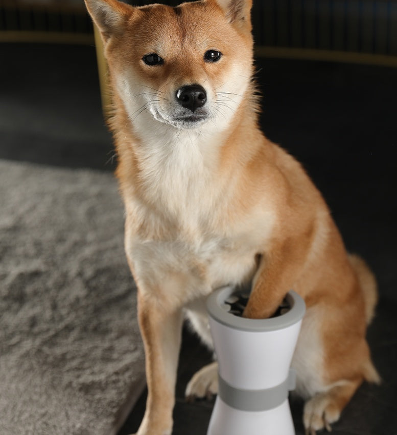 Electric foot washing cup