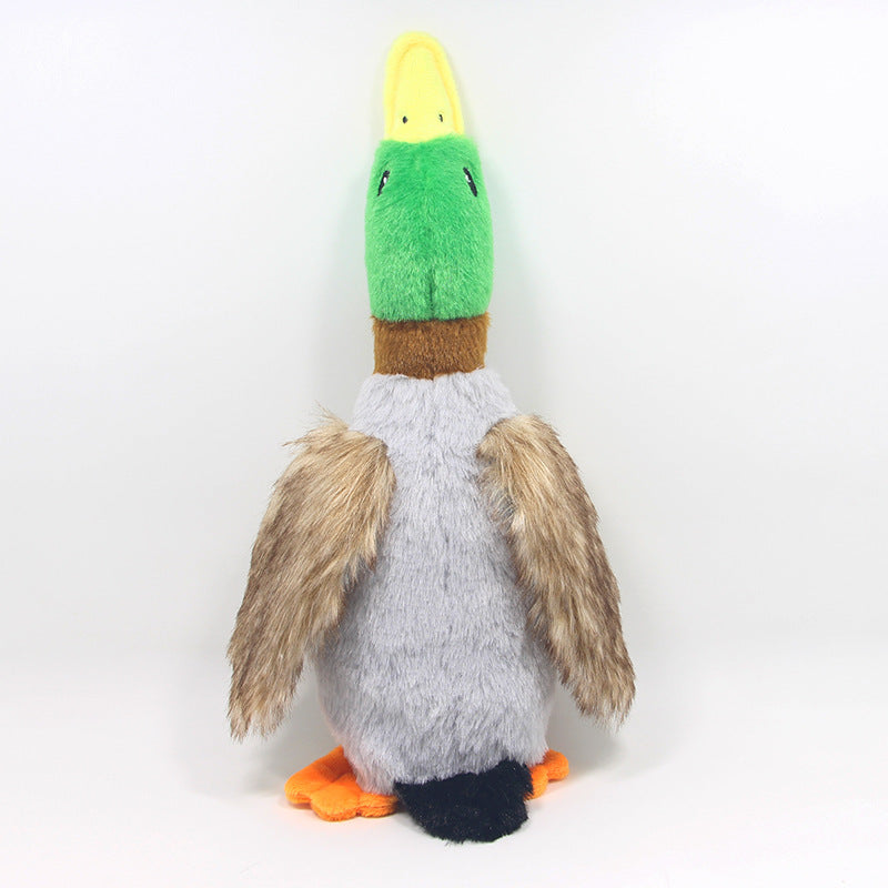 Duck Toy