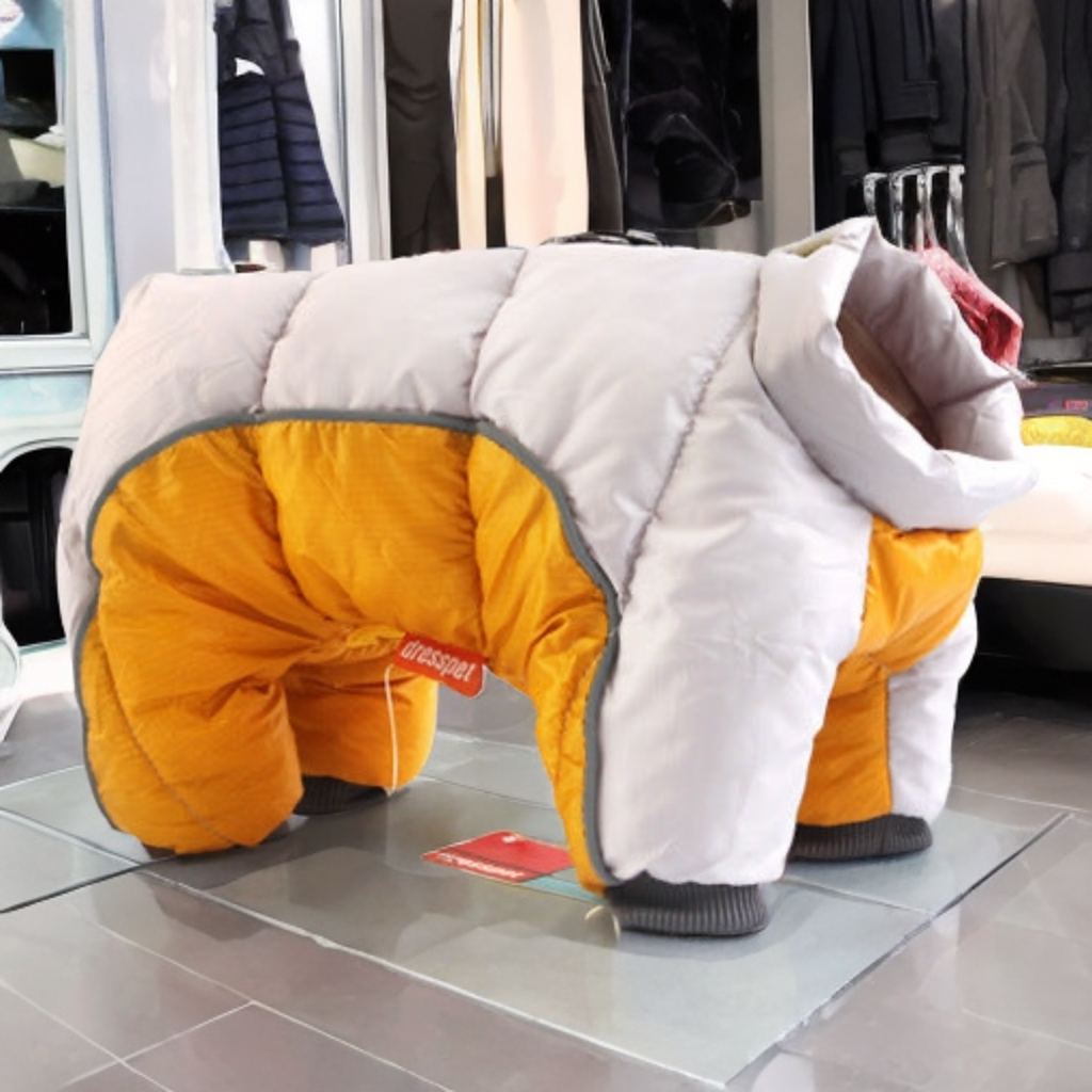 dog winter teddy cotton coat