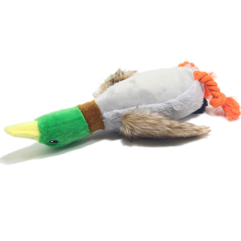 Duck Toy