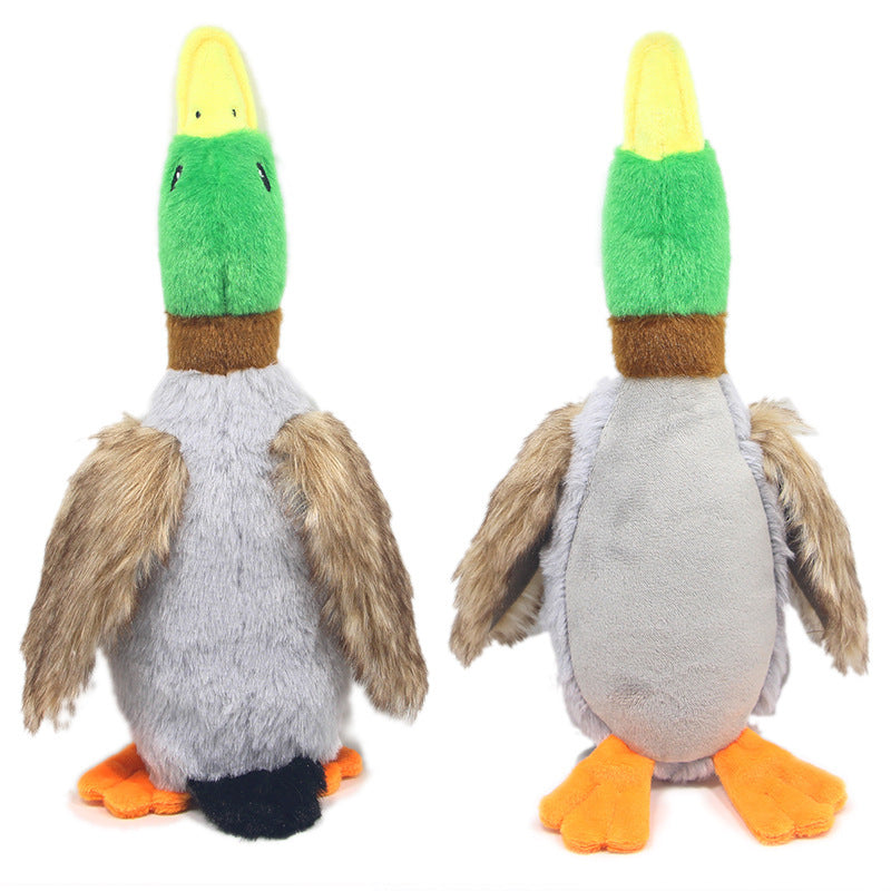 Duck Toy
