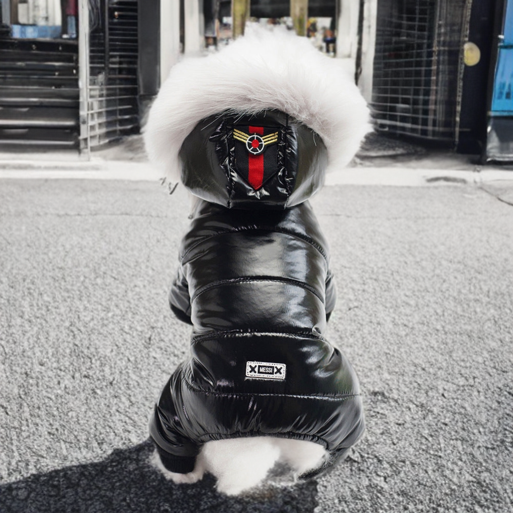 Teddy dog clothes