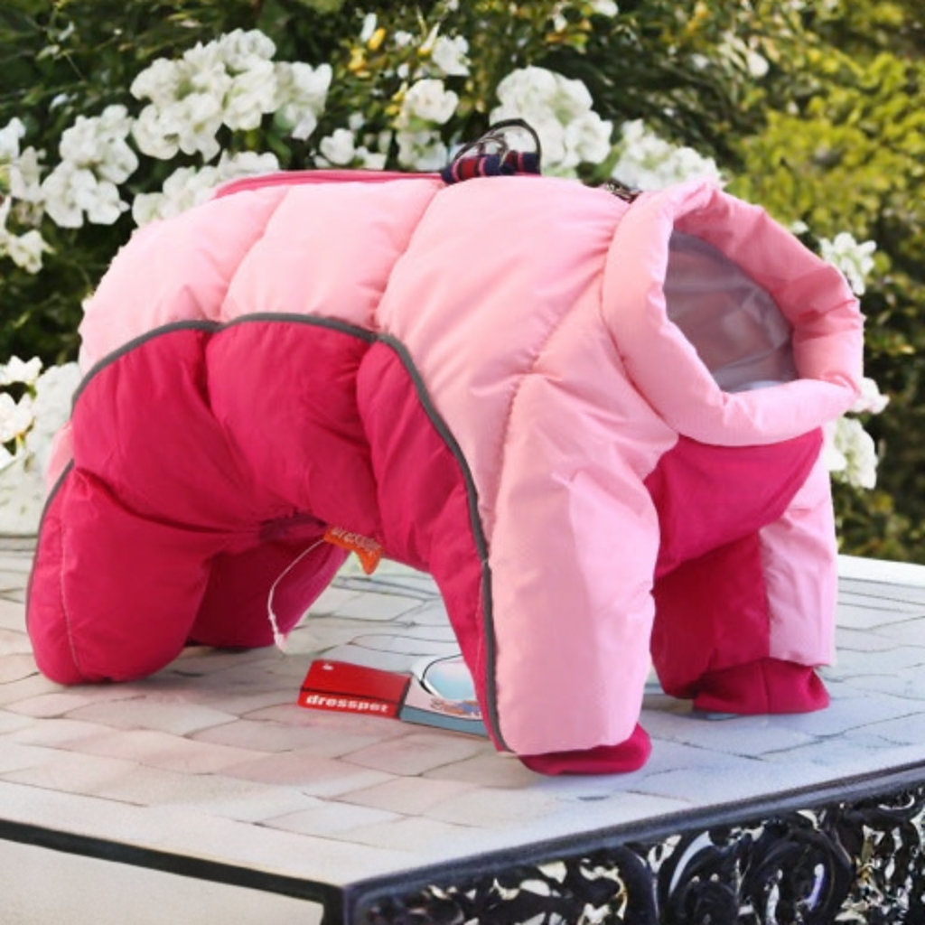 dog winter teddy cotton coat