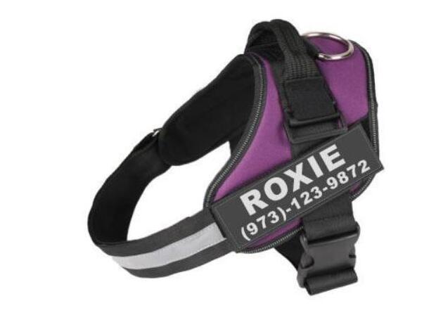 Personalized Dog Harness Reflective Breathable Adjustable