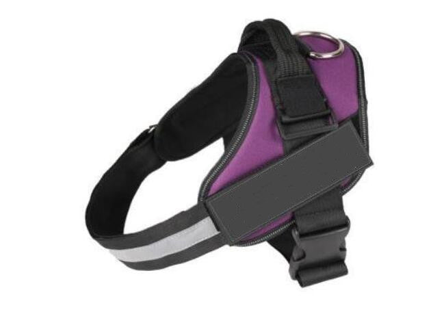 Personalized Dog Harness Reflective Breathable Adjustable