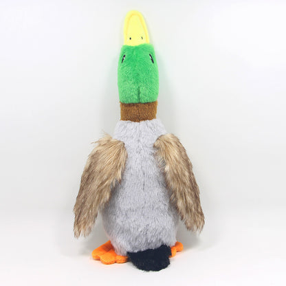 Duck Toy