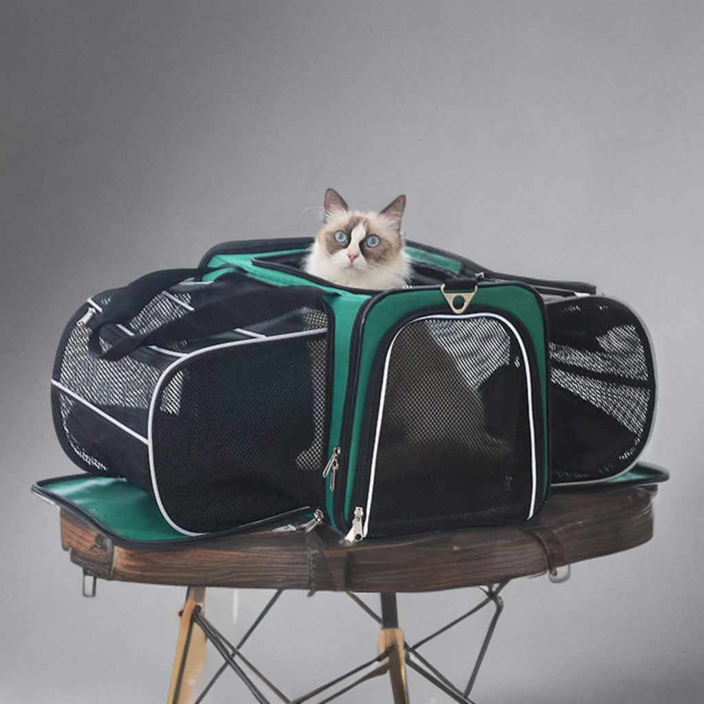 portable backpack