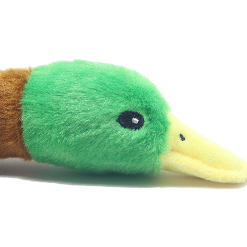 Duck Toy