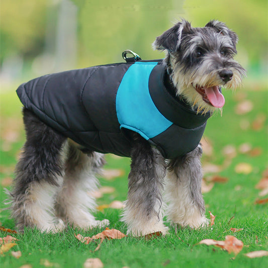 Winter Clothes for Dogs