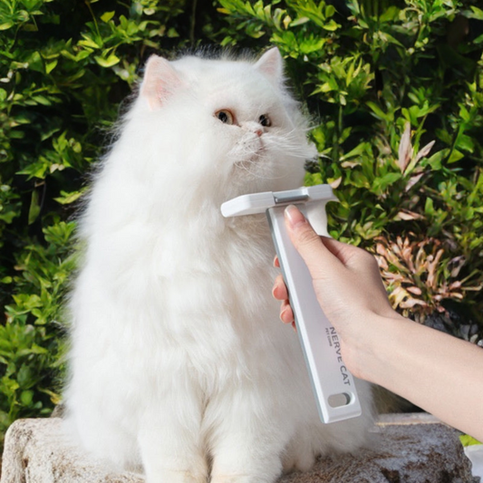 Floating Hair Removal Pet Grooming Cat Supplies