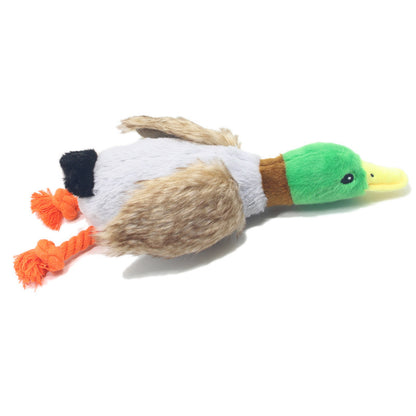 Duck Toy