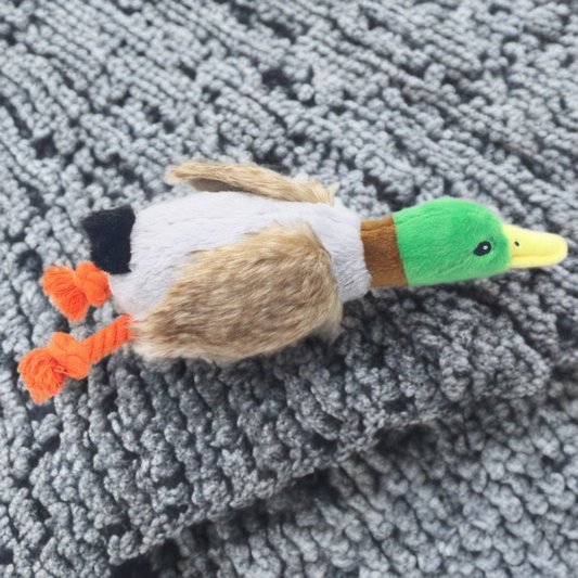 Duck Toy